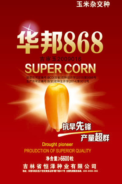 華邦868